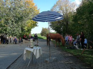 Tiersegnungsgottesdienst